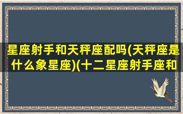 星座射手和天秤座配吗(天秤座是什么象星座)(十二星座射手座和天秤座)