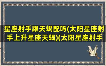 星座射手跟天蝎配吗(太阳星座射手上升星座天蝎)(太阳星座射手,上升星座天蝎)