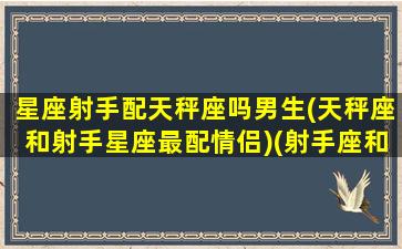 星座射手配天秤座吗男生(天秤座和射手星座最配情侣)(射手座和天秤座的配对指数怎么看)