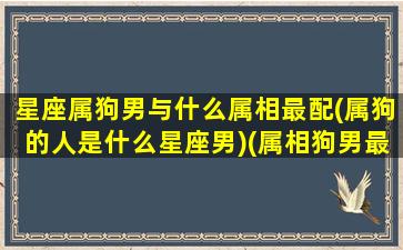 星座属狗男与什么属相最配(属狗的人是什么星座男)(属相狗男最佳配偶)