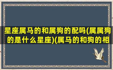 星座属马的和属狗的配吗(属属狗的是什么星座)(属马的和狗的相配吗)
