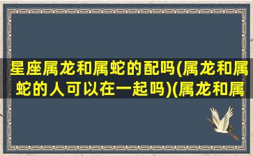 星座属龙和属蛇的配吗(属龙和属蛇的人可以在一起吗)(属龙和属蛇的在一起合适吗)