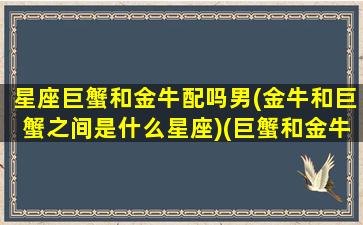 星座巨蟹和金牛配吗男(金牛和巨蟹之间是什么星座)(巨蟹和金牛配不配)