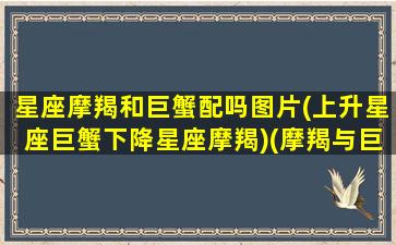 星座摩羯和巨蟹配吗图片(上升星座巨蟹下降星座摩羯)(摩羯与巨蟹匹配指数)