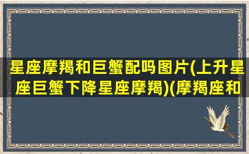 星座摩羯和巨蟹配吗图片(上升星座巨蟹下降星座摩羯)(摩羯座和巨蟹座匹配度是多少)