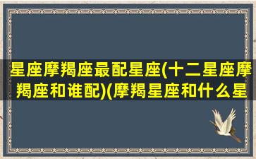 星座摩羯座最配星座(十二星座摩羯座和谁配)(摩羯星座和什么星座配)