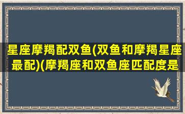 星座摩羯配双鱼(双鱼和摩羯星座最配)(摩羯座和双鱼座匹配度是多少)