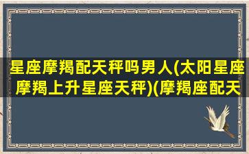 星座摩羯配天秤吗男人(太阳星座摩羯上升星座天秤)(摩羯座配天平座吗)