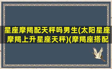 星座摩羯配天秤吗男生(太阳星座摩羯上升星座天秤)(摩羯座搭配天秤座)