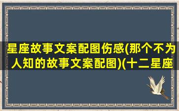 星座故事文案配图伤感(那个不为人知的故事文案配图)(十二星座故事大全)