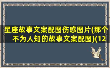 星座故事文案配图伤感图片(那个不为人知的故事文案配图)(12星座故事)