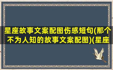 星座故事文案配图伤感短句(那个不为人知的故事文案配图)(星座搞笑故事小视频)