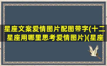 星座文案爱情图片配图带字(十二星座用哪里思考爱情图片)(星座文案素材)