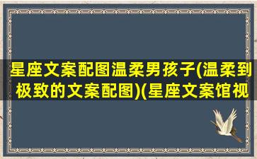 星座文案配图温柔男孩子(温柔到极致的文案配图)(星座文案馆视频)