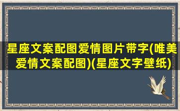 星座文案配图爱情图片带字(唯美爱情文案配图)(星座文字壁纸)