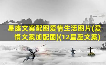 星座文案配图爱情生活图片(爱情文案加配图)(12星座文案)