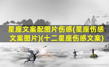 星座文案配图片伤感(星座伤感文案图片)(十二星座伤感文案)