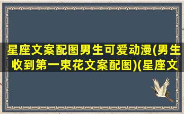 星座文案配图男生可爱动漫(男生收到第一束花文案配图)(星座文案馆图片)