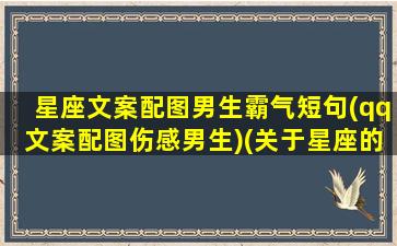 星座文案配图男生霸气短句(qq文案配图伤感男生)(关于星座的朋友圈文案)