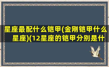 星座最配什么铠甲(金刚铠甲什么星座)(12星座的铠甲分别是什么)