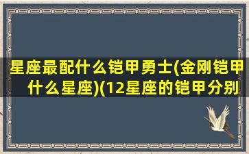 星座最配什么铠甲勇士(金刚铠甲什么星座)(12星座的铠甲分别是什么)