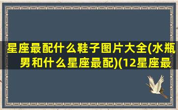 星座最配什么鞋子图片大全(水瓶男和什么星座最配)(12星座最配什么跑车)