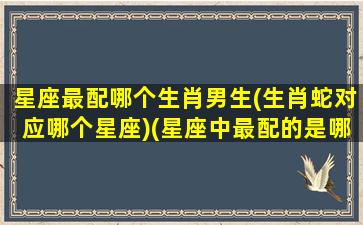 星座最配哪个生肖男生(生肖蛇对应哪个星座)(星座中最配的是哪一对)