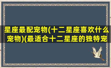 星座最配宠物(十二星座喜欢什么宠物)(最适合十二星座的独特宠物是什么)