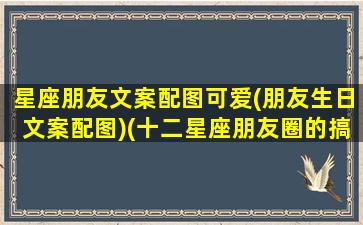 星座朋友文案配图可爱(朋友生日文案配图)(十二星座朋友圈的搞笑日常)