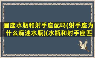 星座水瓶和射手座配吗(射手座为什么痴迷水瓶)(水瓶和射手座匹配程度是多少)