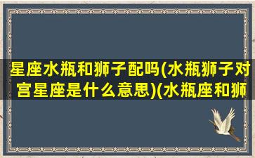 星座水瓶和狮子配吗(水瓶狮子对宫星座是什么意思)(水瓶座和狮子配对指数)