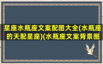 星座水瓶座文案配图大全(水瓶座的天配星座)(水瓶座文案背景图)