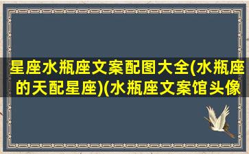 星座水瓶座文案配图大全(水瓶座的天配星座)(水瓶座文案馆头像)