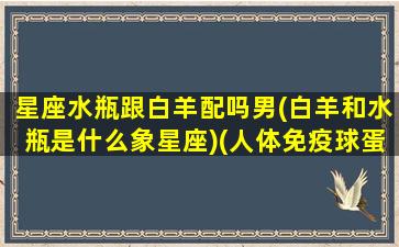 星座水瓶跟白羊配吗男(白羊和水瓶是什么象星座)(人体免疫球蛋白品牌)