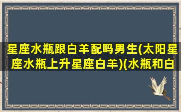 星座水瓶跟白羊配吗男生(太阳星座水瓶上升星座白羊)(水瓶和白羊合得来吗)