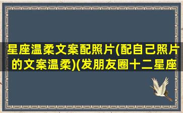 星座温柔文案配照片(配自己照片的文案温柔)(发朋友圈十二星座的配文)