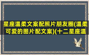 星座温柔文案配照片朋友圈(温柔可爱的图片配文案)(十二星座温柔文案)