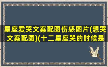 星座爱哭文案配图伤感图片(想哭文案配图)(十二星座哭的时候是什么样子)