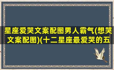 星座爱哭文案配图男人霸气(想哭文案配图)(十二星座最爱哭的五大星座)