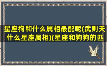 星座狗和什么属相最配呢(武则天什么星座属相)(星座和狗狗的匹配值)