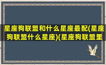 星座狗联盟和什么星座最配(星座狗联盟什么星座)(星座狗联盟里的幸运女神)