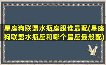 星座狗联盟水瓶座跟谁最配(星座狗联盟水瓶座和哪个星座最般配)(星座狗联盟射手座图片)