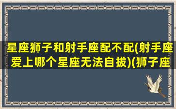 星座狮子和射手座配不配(射手座爱上哪个星座无法自拔)(狮子座和射手座匹配度是多少)