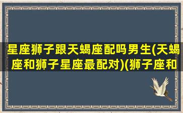 星座狮子跟天蝎座配吗男生(天蝎座和狮子星座最配对)(狮子座和天蝎座的匹配度)