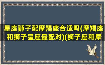 星座狮子配摩羯座合适吗(摩羯座和狮子星座最配对)(狮子座和摩羯座匹配程度)