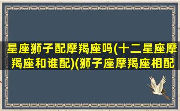 星座狮子配摩羯座吗(十二星座摩羯座和谁配)(狮子座摩羯座相配指数)