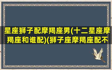 星座狮子配摩羯座男(十二星座摩羯座和谁配)(狮子座摩羯座配不配)