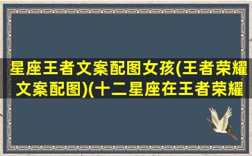 星座王者文案配图女孩(王者荣耀文案配图)(十二星座在王者荣耀里面的专属人物女)