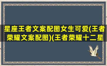 星座王者文案配图女生可爱(王者荣耀文案配图)(王者荣耀十二星座图片)