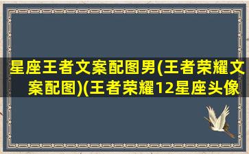 星座王者文案配图男(王者荣耀文案配图)(王者荣耀12星座头像男)